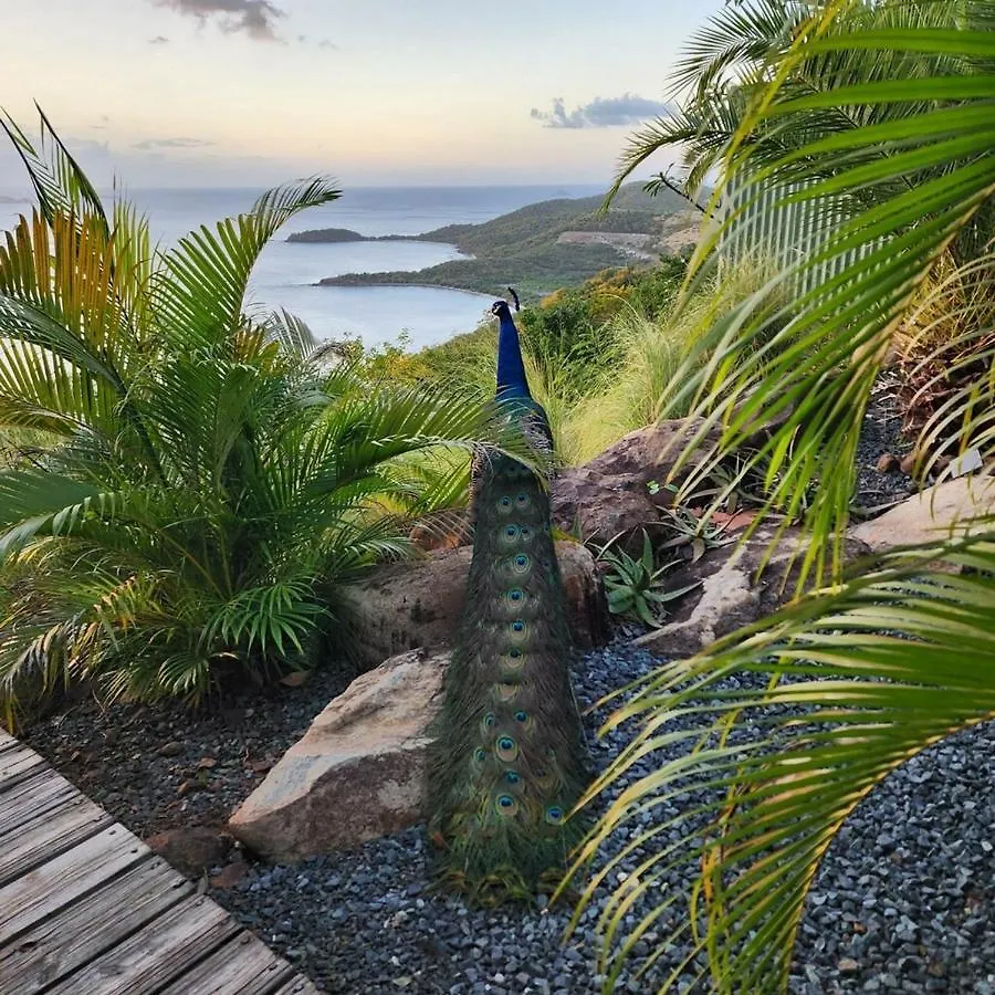 Lodge Aleli Cottages Isla Culebra Puerto Rico